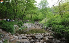 지금 불암산 힐링타운은 온통 분홍빛! 꽃잔치, 체험잔치 열렸네~ | 서울시 - 내 손안에 서울 지금 불암산 힐링타운은 온통 분홍빛! 꽃잔치... 