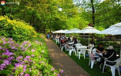 지금 불암산 힐링타운은 온통 분홍빛! 꽃잔치, 체험잔치 열렸네~ | 서울시 - 내 손안에 서울 지금 불암산 힐링타운은... 