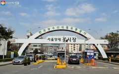 양재꽃시장에서 봄을 만났다! 이렇게 식집사가 되나 봄 | 서울시 - 내 손안에 서울 양재꽃시장에서 봄을 만났다! 이렇게 식집사가 되나 봄