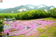 불암산 힐링타운 봄 나들이, 꽃 보다 사람이 아름다워~ | 서울시 - 내 손안에 서울 불암산 힐링타운 봄 나들이, 꽃 보다 사람이 아름다워~