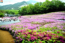 불암산 힐링타운 봄 나들이, 꽃 보다 사람이 아름다워~ | 서울시 - 내 손안에 서울 불암산 힐링타운 봄 나들이, 꽃 보다 사람이 아름다워~