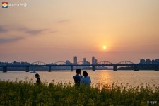 태어난 김에 한강야경투어...신청방법 궁금하면 클릭! | 서울시 - 내 손안에 서울 태어난 김에 한강야경투어...신청방법 궁금하면 클릭! 