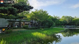 봄날 호숫가에서의 야외음악회, 너무 낭만적이야! 예술품은 매력정원 | 서울시 - 내 손안에 서울 봄날 호숫가에서의 야외음악회, 너무... 