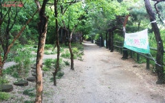 유아숲체험원 동행가든에서 놀자! | 서울시 - 내 손안에 서울 아이들 신체·정신 발달 쑥쑥! 유아숲체험원 동행가든에서 놀자!