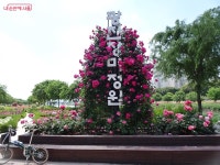 자전거길 11코스 | 서울시 - 내 손안에 서울 장미꽃길 따라 따릉이 타고 달리는 기분, 상쾌도 하다! 자전거길 11코스