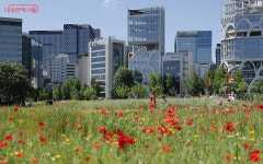 가슴이 뻥 뚫려요…열린송현 녹지광장에서 감성 한 조각 | 서울시 - 내 손안에 서울  가슴이 뻥 뚫려요…열린송현 녹지광장에서 감성 한 조각