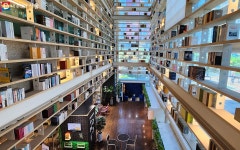 반전 있는 도서관! 성동책마루 정오의 문화공연 활력 뿜뿜 | 서울시 - 내 손안에 서울 반전 있는 도서관! 성동책마루 정오의 문화공연 활력 뿜뿜