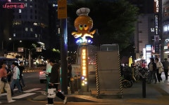 MZ 세대와 관광객이 사랑하는 성내전통시장, 야간축제로 빛나다 | 서울시 - 내 손안에 서울 MZ 세대와 관광객이 사랑하는 성내전통시장... 