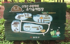 유아숲체험원 동행가든에서 놀자! | 서울시 - 내 손안에 서울 아이들 신체·정신 발달 쑥쑥! 유아숲체험원 동행가든에서 놀자!