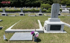 “임들을 잊지 않겠습니다”…6월이면 더 생각나는 ‘국립서울현충원’ | 서울시 - 내 손안에 서울 “임들을 잊지 않겠습니다”…6월이면 더... 