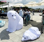 환경의 날 맞이 강북환경축제 현장 | 서울시 - 내 손안에 서울 지구의 SOS에 응답하라! 환경의 날 맞이 강북환경축제 현장 