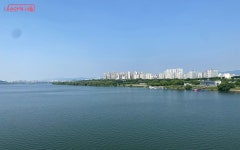 혼밥 먹기 싫을 때, 건강한 밥상 요리도 배우고 친구도 만나요! | 서울시 - 내 손안에 서울 혼밥 먹기 싫을 때, 건강한 밥상 요리도 배우고... 