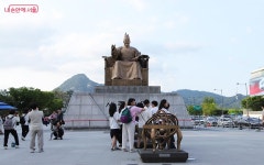 닭꼬치·스테이크·핫도그·닭강정…출출할 땐 광화문으로 푸드축제 넉넉 | 서울시 - 내 손안에 서울 닭꼬치·스테이크·핫도그·닭강정…출출할... 
