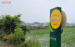주말엔 텃밭 소풍 가볼까, 개화역 매력텃밭정원 체험기 | 서울시 - 내 손안에 서울 주말엔 텃밭 소풍 가볼까, 개화역 매력텃밭정원 체험기