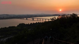 메타세쿼이아숲·난지비치…하늘노을길로 여행을 떠나요 | 서울시 - 내 손안에 서울 메타세쿼이아숲·난지비치…하늘노을길로 여행을 떠나요