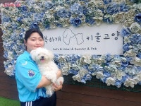 여름휴가, 반려동물 걱정 말고 다녀오시개 우리동네 펫위탁소... 내 손안에 서울 여름휴가, 반려동물 걱정 말고 다녀오시개 우리동네 펫위탁소 