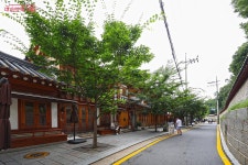 요즘 MZ세대에게 사랑 받는 이곳! 서순라길 걸어봐요 | 서울시 - 내 손안에 서울 요즘 MZ세대에게 사랑 받는 이곳! 서순라길 걸어봐요