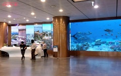 서울시청 가는 길, 즐거움 뿜뿜! 확 바뀐 로비 | 서울시 - 내 손안에 서울 서울시청 가는 길, 즐거움 뿜뿜! 확 바뀐 로비 