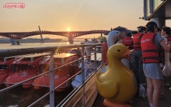 갓성비에 무더위가 훌훌~ 한강 오리배 타고 인기영화 무료 감상... 내 손안에 서울 갓성비에 무더위가 훌훌~ 한강 오리배 타고 인기영화 무료 감상