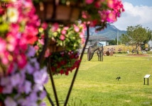 도심 곳곳이 미술 축제…제2회 서울아트위크 열린다 | 서울시 - 내 손안에 서울 도심 곳곳이 미술 축제…제2회 서울아트위크 열린다