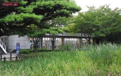 숲길 산책·버스킹·힐링이 함께하는 별 헤는 서울숲으로! | 서울시 - 내 손안에 서울 숲길 산책·버스킹·힐링이 함께하는 별 헤는 서울숲으로!