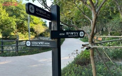 동물 오가는 길 생겼다! 산책길로도 좋은 국사봉 생태육교 | 서울시 - 내 손안에 서울 동물 오가는 길 생겼다! 산책길로도 좋은 국사봉 생태육교