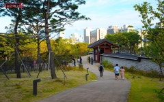 가을 나들이 코스 추천! 종묘~창경궁 한번에 답사하는 꿀팁 | 서울시 - 내 손안에 서울 가을 나들이 코스 추천! 종묘~창경궁 한번에 답사하는 꿀팁