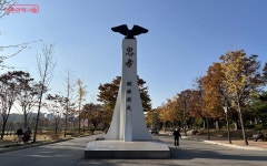 매력 가득한 보라매공원(ft. 2025 서울국제정원박람회) | 서울시 - 내... 테마파크! 매력 가득한 보라매공원(ft. 2025 서울국제정원박람회)
