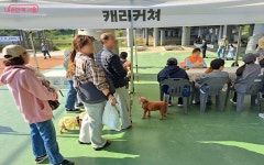 강아지도 견주도 신나요! 서울 최대 규모 반려견 놀이터 오픈 | 서울시 - 내 손안에 서울 강아지도 견주도 신나요! 서울 최대 규모 반려견 놀이터 오픈