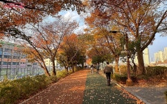 황톳길, 건강지압길을 갖춘 힐링 산책길 장안벚꽃안길 | 서울시 - 내 손안에 서울 황톳길, 건강지압길을 갖춘 힐링 산책길 장안벚꽃안길