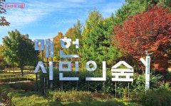 음악과 자연이 어우러진 숲속의 하모니, 매헌시민의숲 가을 축제... 내 손안에 서울 음악과 자연이 어우러진 숲속의 하모니, 매헌시민의숲 가을 축제