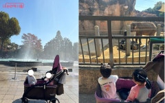동물원, 놀이동산, 키즈카페 갖춘 서울어린이대공원 | 서울시 - 내... 서울 아이와 완벽한 하루! 동물원, 놀이동산, 키즈카페 갖춘 서울어린이대공원