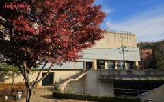 산 좋고 물 좋은 홍제천길, 발길 따라 물길 따라 즐기는 기분 좋은 산책길 | 서울시 - 내 손안에 서울 산 좋고 물 좋은 홍제천길, 발길 따라 물길... 