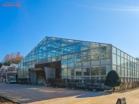 따듯한 서울숲 곤충식물원서 만나는 열대식물·곤충들 | 서울시 - 내... 서울 새로워졌어요! 따듯한 서울숲 곤충식물원서 만나는 열대식물·곤충들