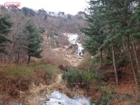 한겨울에 만난 푸르름! 잣나무숲 울창한 호암늘솔길 힐링 산책 | 서울시 - 내 손안에 서울 한겨울에 만난 푸르름! 잣나무숲 울창한 호암늘솔길... 