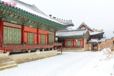 북촌부터 경복궁까지 나홀로 서울 여행 | 서울시 - 내 손안에 서울 고즈넉한 풍경에 반하다! 북촌부터 경복궁까지 나홀로 서울 여행