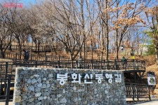 누구나 쉽고 가볍게 산책할 수 있는 길! 동행길과 둘레길 | 서울시 - 내 손안에 서울 누구나 쉽고 가볍게 산책할 수 있는 길! 동행길과 둘레길