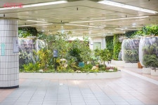 왕십리역에 등장한 왕십리 아래숲길 | 서울시 - 내 손안에 서울 지하철역에서 만나는 숲길!? 왕십리역에 등장한 왕십리 아래숲길