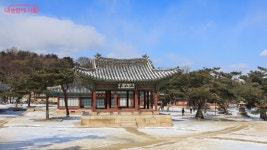 봄이 한 발짝 먼저 찾아온 곳! 창경궁 대온실서 따듯함 충전 | 서울시 - 내 손안에 서울 봄이 한 발짝 먼저 찾아온 곳! 창경궁 대온실서 따듯함 충전