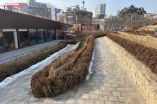 맑은누리 작은도서관에서 독서 삼매경 | 서울시 - 내 손안에 서울 첫눈에 반한 통유리창! 맑은누리 작은도서관에서 독서 삼매경 