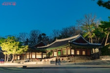 매일밤, 창경궁이 오색빛깔로 물든다 물빛연화 이건 꼭 봐야 해! | 서울시 - 내 손안에 서울 매일밤, 창경궁이 오색빛깔로 물든다 물빛연화 이건... 