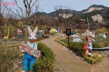 봄을 부르는 꽃과 나비 만나요! 불암산 힐링타운 나들이 | 서울시 - 내 손안에 서울 봄을 부르는 꽃과 나비 만나요! 불암산 힐링타운 나들이