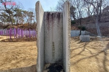 미처 몰랐던 남산의 아픈 역사, 남산 기억로를 걸으며 되새기다! | 서울시 - 내 손안에 서울 미처 몰랐던 남산의 아픈 역사, 남산 기억로를... 