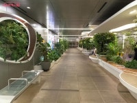 숨 쉬는 즐거움을 되찾다…도심 속 힐링공간 미세먼지 프리존 | 서울시 - 내 손안에 서울 숨 쉬는 즐거움을 되찾다…도심 속 힐링공간 미세먼지... 