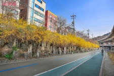 4월이 가기 전 꼭 찾아야 하는 이곳! 홍제폭포·연희숲속쉼터 | 서울시 - 내 손안에 서울 4월이 가기 전 꼭 찾아야 하는 이곳! 홍제폭포·연희숲속쉼터
