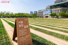 여기 서울광장 맞아? 정원같은 광장으로 21년 만에 새 단장 | 서울시 - 내 손안에 서울 여기 서울광장 맞아? 정원같은 광장으로 21년 만에 새 단장