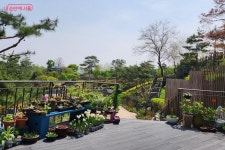 북악산정원지원센터에서 누리는 정원이 있는 삶 (ft. 반려식물병원) | 서울시 - 내 손안에 서울 북악산정원지원센터에서 누리는 정원이 있는... 