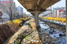 4월이 가기 전 꼭 찾아야 하는 이곳! 홍제폭포·연희숲속쉼터 | 서울시 - 내 손안에 서울 4월이 가기 전 꼭 찾아야 하는 이곳! 홍제폭포·연희숲속쉼터