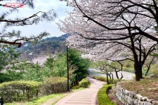 숲속 리조트에 온 듯 평온해요! 숲과 책이 있는 산책코스 두 곳 추천! | 서울시 - 내 손안에 서울 숲속 리조트에 온 듯 평온해요! 숲과 책이 있는... 