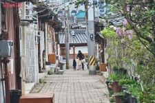 봄 내음이 가득한 북촌 제대로 즐기는 방법 | 서울시 - 내 손안에 서울 봄 내음이 가득한 북촌 제대로 즐기는 방법